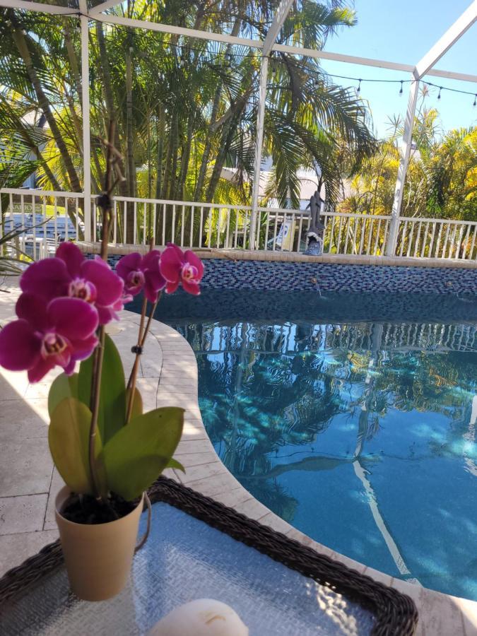 Cape Paradise B & B - Your Luxury Tropical Retreat Cape Coral Exteriör bild